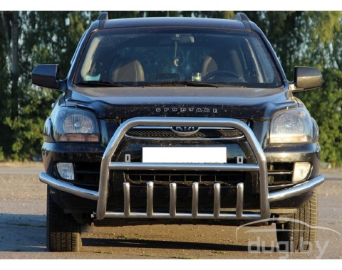 Кенгурятник "SPECIAL" для Kia Sportage